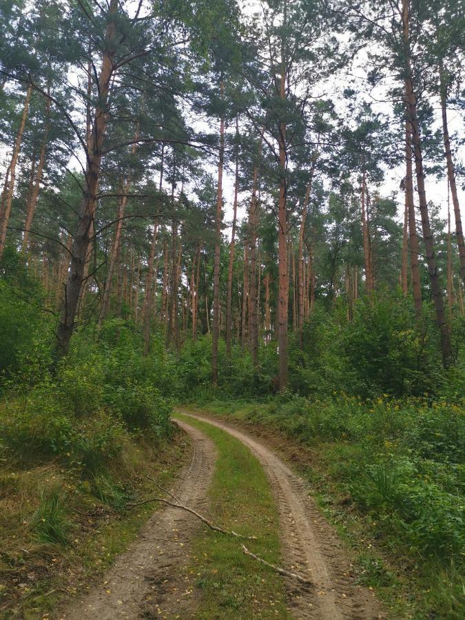 Апартаменты Agrochalupki Korczowa Экстерьер фото